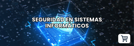 Seguridad en sistemas informáticos